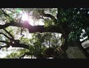【生海月】なまくらじお【2019.3.14】