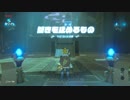 【ゼル伝BotW】100年の眠りから目覚めた勇者の冒険５０【もちまる】