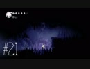 【第２１夜】眠れぬ夜のHOLLOW KNIGHT【実況】