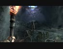 【実況無し】普通にスカイリムを冒険する♯12～自然の祝福とドラゴン襲撃～【PS4】