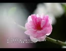 誕生日に贈る言葉～3月14日生まれの感受性が豊かなあなたに－聴きものがたり