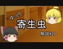 【ゆっくり解説】ゆっくり寄生虫解説#20~マダニ~