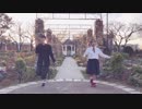 【ぷいきゅあ。】chocolate box【踊ってみた】
