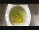マスタードをトイレに流してみた