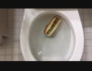 ホットドッグをトイレに流してみた