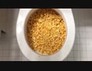 ポップコーンをトイレに流してみた４