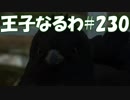 #230【FF15】王子なるわ【オスのゲーム実況】