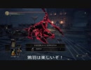 更に折れない侵入 [ダークソウル3]
