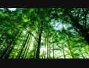 【オリジナル曲】First Step【ゲームBGM風】
