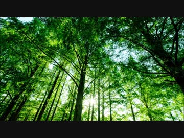 【オリジナル曲】First Step【ゲームBGM風】