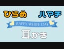 【ASMR…？】ひらめとハマチのホワイトデー耳かき