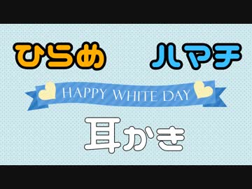 【ASMR…？】ひらめとハマチのホワイトデー耳かき