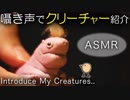 【ASMRクリーチャーズ】ささやき声で、クリーチャーを紹介します【樹脂粘土】