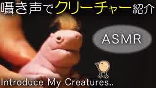 【ASMRクリーチャーズ】ささやき声で、クリーチャーを紹介します【樹脂粘土】