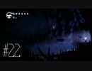 【第２２夜】眠れぬ夜のHOLLOW KNIGHT【実況】