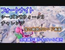 【フォートナイト】シーズン8ウィーク3チャレンジ"宝の地図のロード画面で虫眼鏡が置かれている場所"