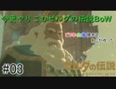 今更やりこみ始める！【ゼルダの伝説BoW】#3