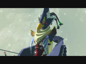 厄災かけますね.botw45