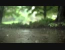雨の雫　綾　
