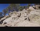 Andrew Bird／Sisyphus