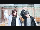 【くるとん・MiO】キレキャリオン 踊ってみた【きつねぱん】