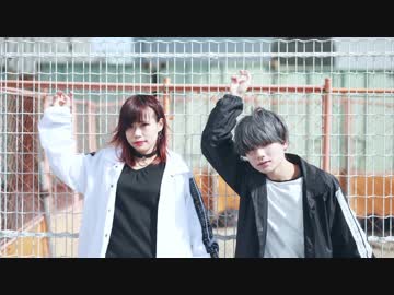 【くるとん・MiO】キレキャリオン 踊ってみた【きつねぱん】