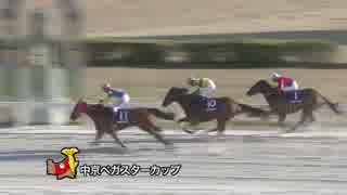 第3回中京ペガスターカップ トリマゴラッキ