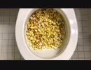 ポップコーンをトイレに流してみた５