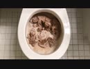 チョコレートのアイスクリームをトイレに流してみた