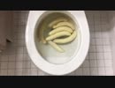 バナナをトイレに流してみた３