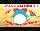 マリルについて学ぼう！