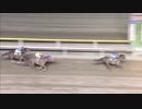 2019年3月13日船橋競馬12R 読売えきものがたり賞(B2-三組以下) エミノマユアク