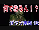 暗闇でドッキリなダークソウル実況 Part13(ニコとヴィンス)