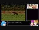 【ギャロップレーサー8】普通プレイで何も目指さない 第３８回