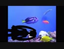【初音ミク】Aquarium【オリジナル】