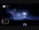 【第２３夜】眠れぬ夜のHOLLOW KNIGHT【実況】