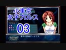 【レッスルエンジェルスサバイバー2実況】東京の頂点に成り上がる！03