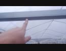 きゅうり栽培実況vol.76   H31春-1 のんべんだらりと地ならしをして歩く。