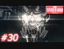【ぴょんぴょん】スパイダーマン　Part30
