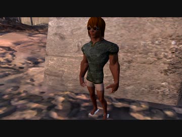 ホモkenshiの生態.mp2