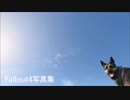 撮ったから観たまえ2