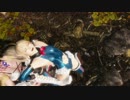 【リョナ】DOA6　マリーにロメロとボーアンドアロー（紺レオタード、コス破壊）