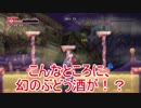 ドラゴンマークトフォーデス　皇女ちゃん編7　危険なワインクーラー　レベル15（ゆっくり実況）