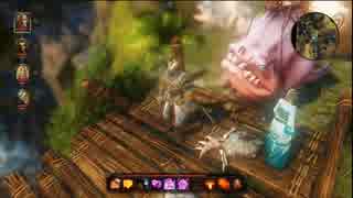 ＃20【GARY】Divinity:Original Sin Enhanced Edition（PC版,ニコ生）