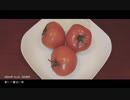 春に一番近い街 covered by 8
