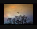 【初音ミク】【オリジナル】　『Like a bird』 Cotaro