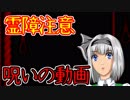 【怖い話】呪いの動画　霊障注意・・・最後までみたら・・・