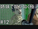 【姉妹実況】龍が如く極　#12【第六章 父と子】