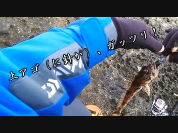 　「寒空の磯で…」アナハ○？、ア○ナメも！？　のうてんパイラーのDearAngler ~Stories~【第5話】