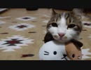 【癒し系】あごのせメドレー
